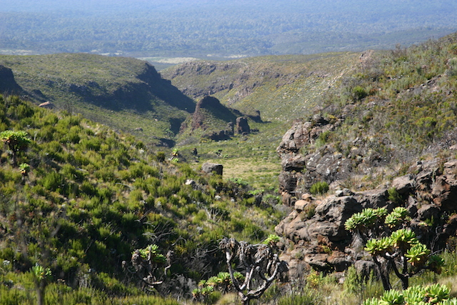 Aux abords du Kilimandjaro