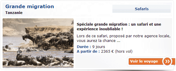 Grande Migration